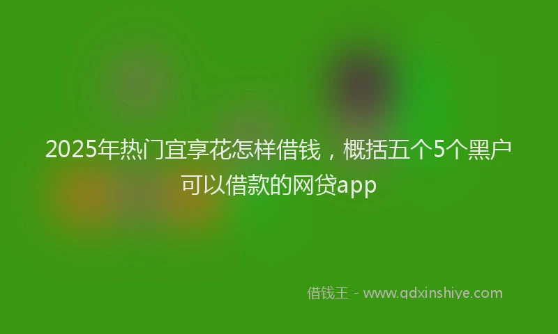 2025年热门宜享花怎样借钱，概括五个5个黑户可以借款的网贷app