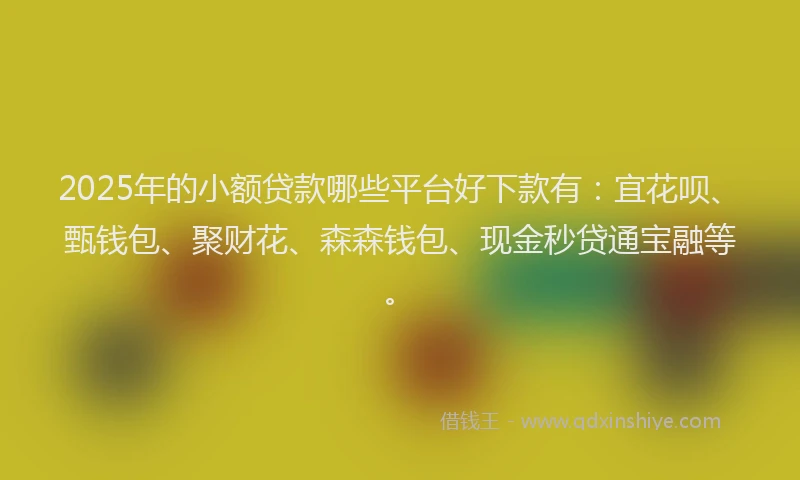 2025年的小额贷款哪些平台好下款有：宜花呗、甄钱包、聚财花、森森钱包、现金秒贷通宝融等。