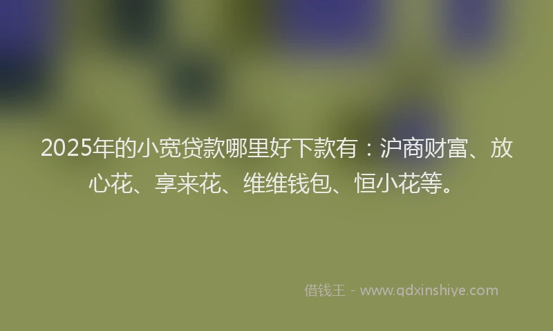 2025年的小宽贷款哪里好下款有：沪商财富、放心花、享来花、维维钱包、恒小花等。