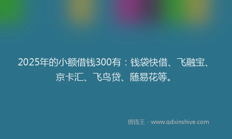 2025年的小额借钱300有：钱袋快借、飞融宝、京卡汇、飞鸟贷、随易花等。