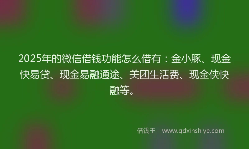 2025年的微信借钱功能怎么借有：金小豚、现金快易贷、现金易融通途、美团生活费、现金侠快融等。