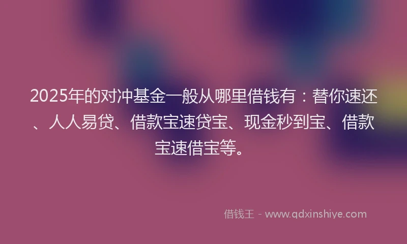 2025年的对冲基金一般从哪里借钱有：替你速还、人人易贷、借款宝速贷宝、现金秒到宝、借款宝速借宝等。