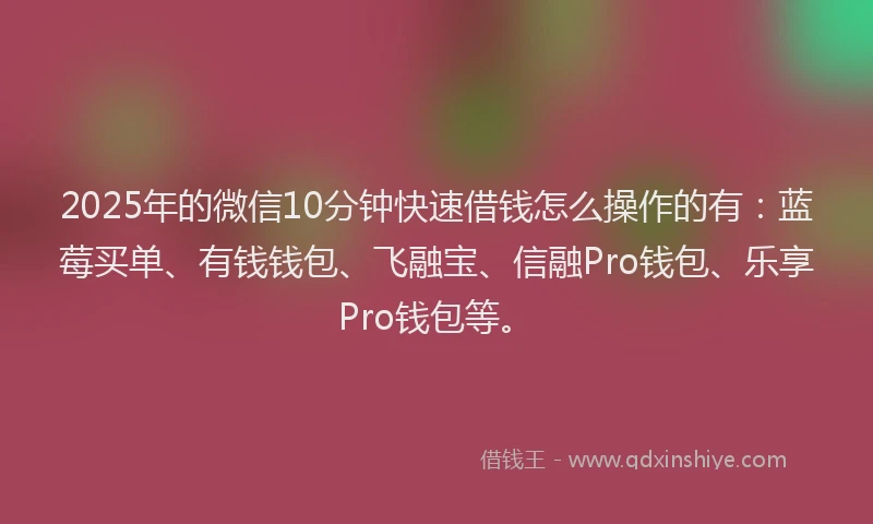 2025年的微信10分钟快速借钱怎么操作的有：蓝莓买单、有钱钱包、飞融宝、信融Pro钱包、乐享Pro钱包等。