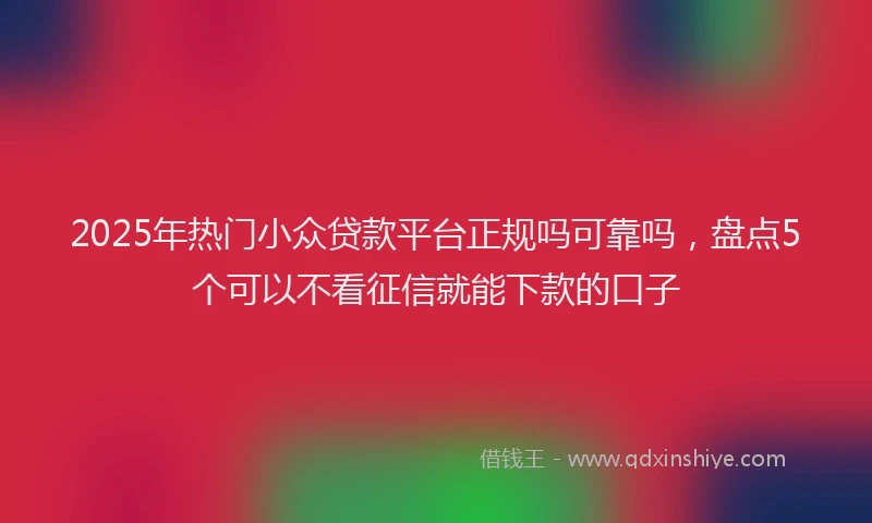 2025年热门小众贷款平台正规吗可靠吗，盘点5个可以不看征信就能下款的口子