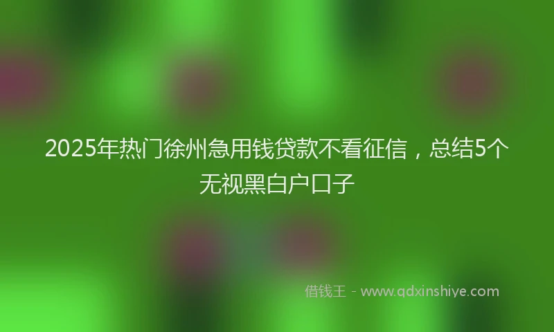 2025年热门徐州急用钱贷款不看征信，总结5个无视黑白户口子