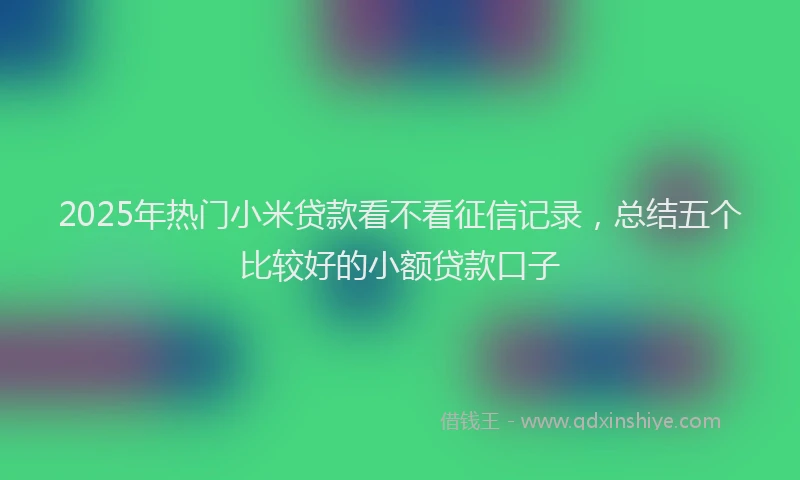 2025年热门小米贷款看不看征信记录，总结五个比较好的小额贷款口子