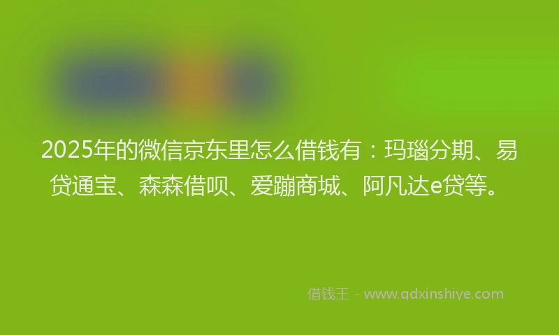 2025年的微信京东里怎么借钱有：玛瑙分期、易贷通宝、森森借呗、爱蹦商城、阿凡达e贷等。