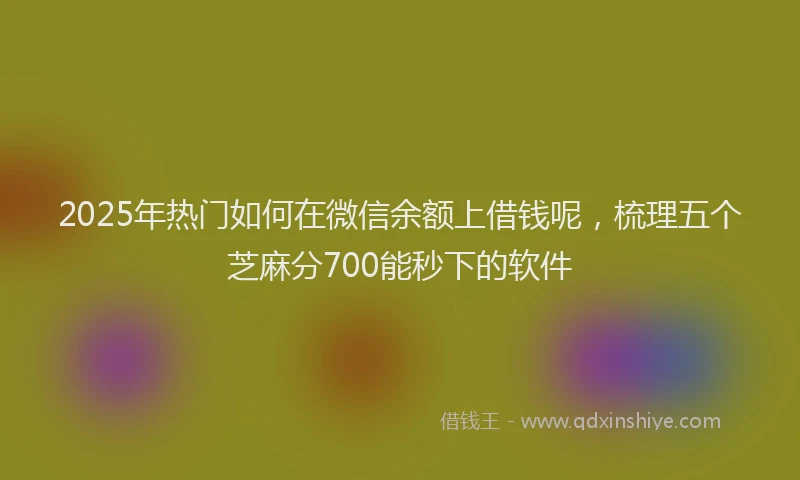2025年热门如何在微信余额上借钱呢，梳理五个芝麻分700能秒下的软件