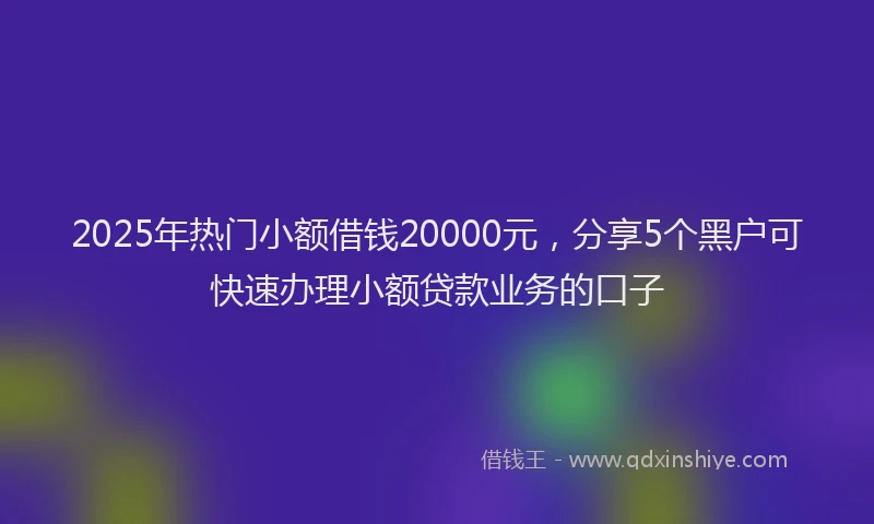 2025年热门小额借钱20000元，分享5个黑户可快速办理小额贷款业务的口子