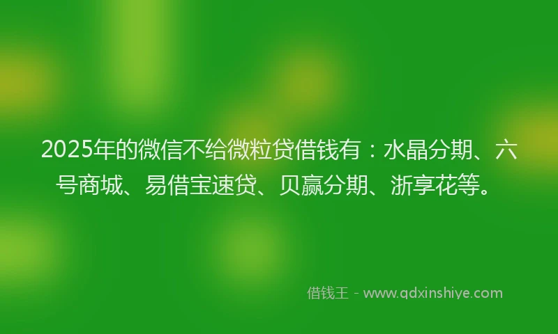 2025年的微信不给微粒贷借钱有：水晶分期、六号商城、易借宝速贷、贝赢分期、浙享花等。