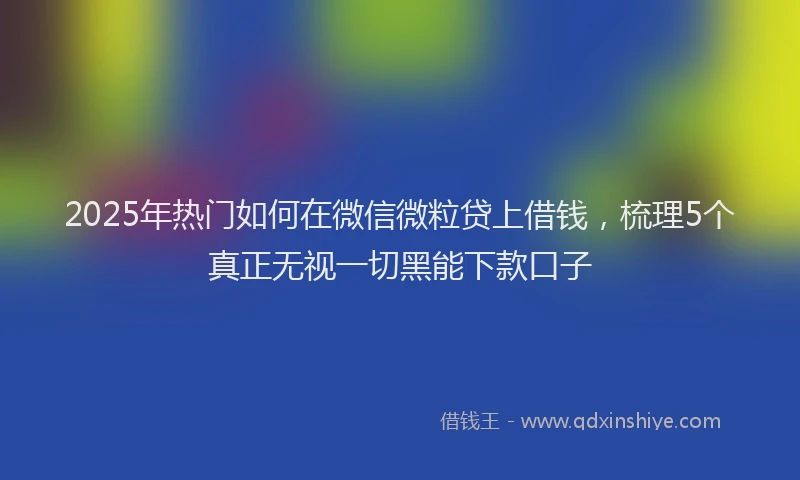 2025年热门如何在微信微粒贷上借钱，梳理5个真正无视一切黑能下款口子