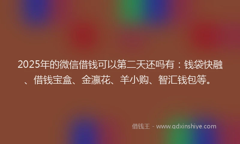 2025年的微信借钱可以第二天还吗有：钱袋快融、借钱宝盒、金瀛花、羊小购、智汇钱包等。