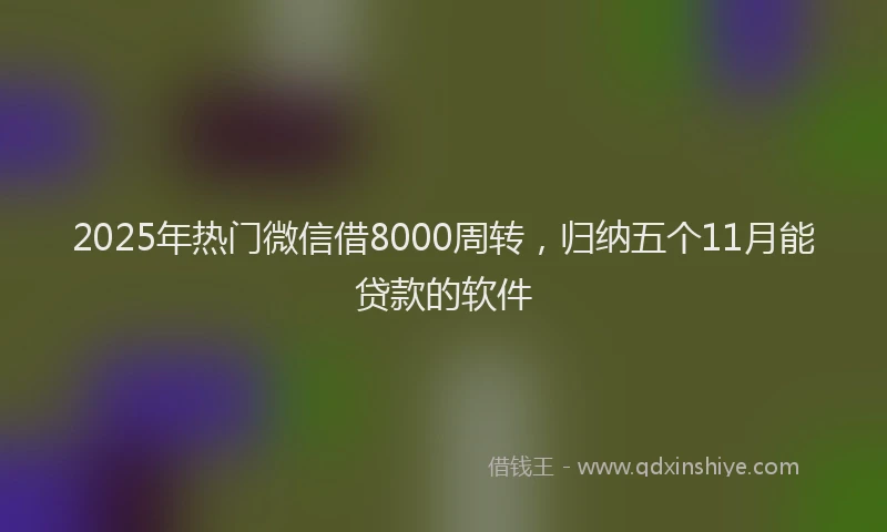 2025年热门微信借8000周转，归纳五个11月能贷款的软件