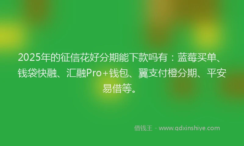 2025年的征信花好分期能下款吗有：蓝莓买单、钱袋快融、汇融Pro+钱包、翼支付橙分期、平安易借等。