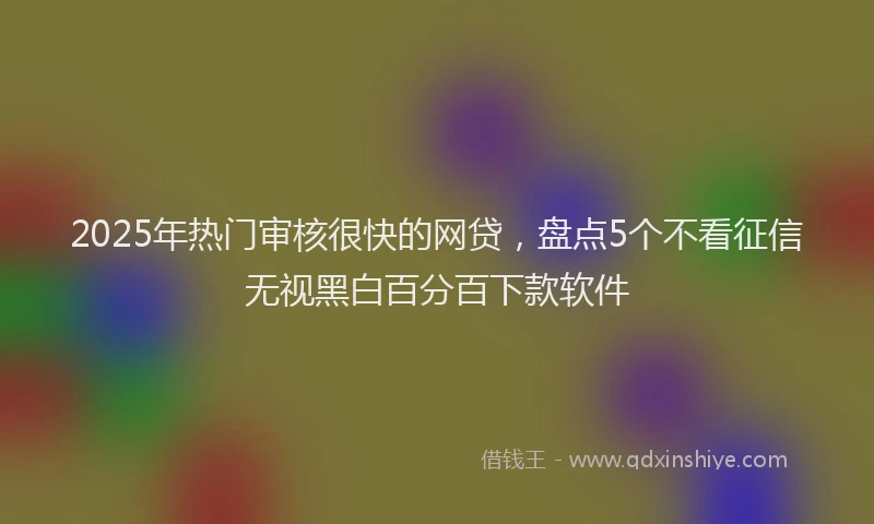 2025年热门审核很快的网贷，盘点5个不看征信无视黑白百分百下款软件