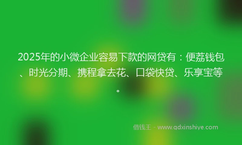 2025年的小微企业容易下款的网贷有：便荔钱包、时光分期、携程拿去花、口袋快贷、乐享宝等。