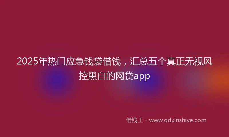 2025年热门应急钱袋借钱，汇总五个真正无视风控黑白的网贷app