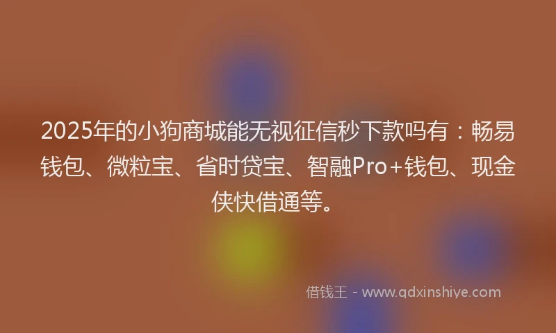 2025年的小狗商城能无视征信秒下款吗有：畅易钱包、微粒宝、省时贷宝、智融Pro+钱包、现金侠快借通等。