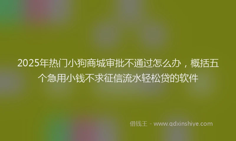 2025年热门小狗商城审批不通过怎么办，概括五个急用小钱不求征信流水轻松贷的软件
