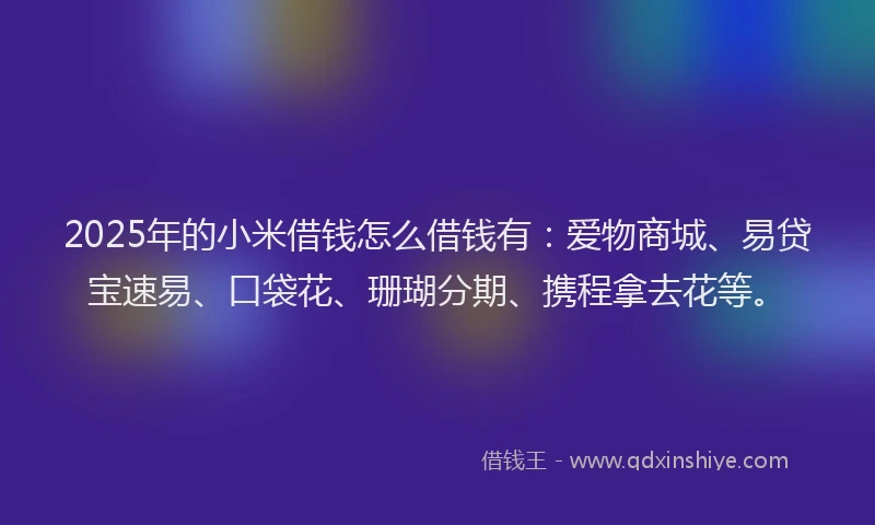 2025年的小米借钱怎么借钱有：爱物商城、易贷宝速易、口袋花、珊瑚分期、携程拿去花等。