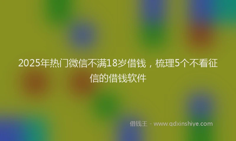 2025年热门微信不满18岁借钱，梳理5个不看征信的借钱软件