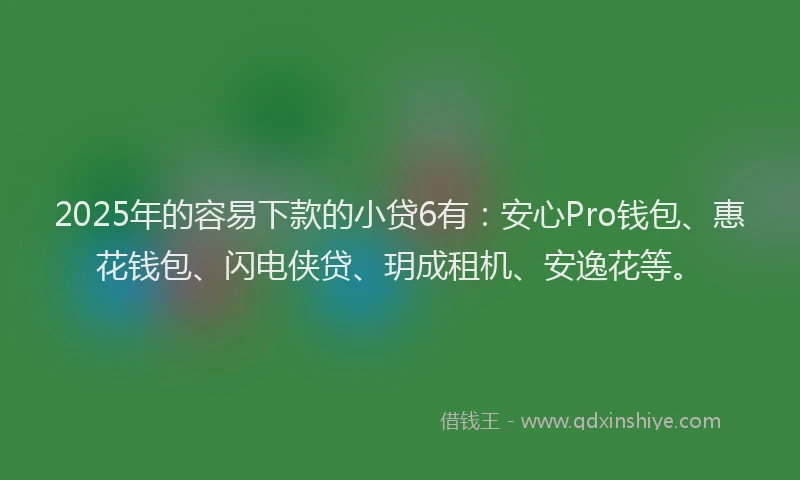 2025年的容易下款的小贷6有：安心Pro钱包、惠花钱包、闪电侠贷、玥成租机、安逸花等。