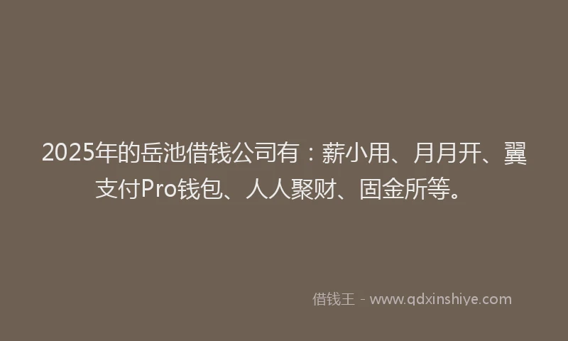 2025年的岳池借钱公司有：薪小用、月月开、翼支付Pro钱包、人人聚财、固金所等。