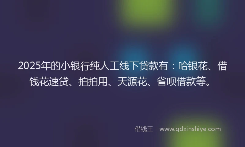 2025年的小银行纯人工线下贷款有：哈银花、借钱花速贷、拍拍用、天源花、省呗借款等。