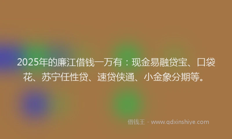 2025年的廉江借钱一万有：现金易融贷宝、口袋花、苏宁任性贷、速贷侠通、小金象分期等。