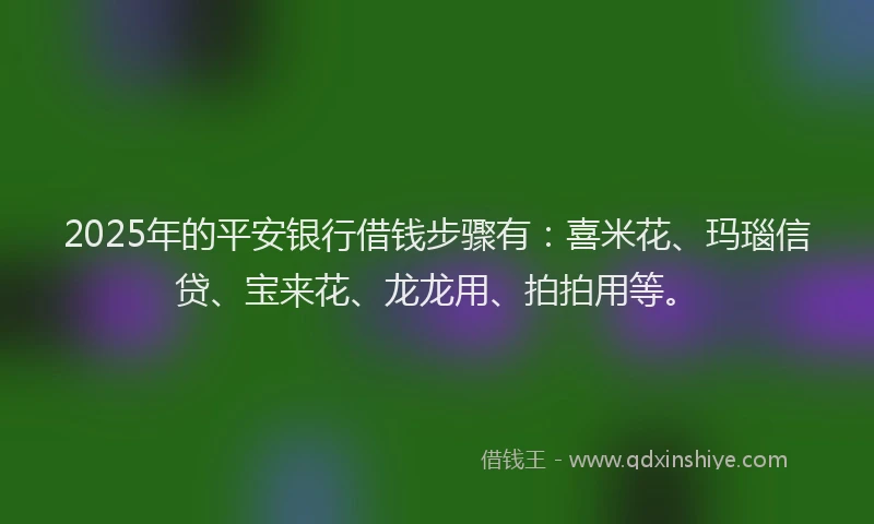 2025年的平安银行借钱步骤有：喜米花、玛瑙信贷、宝来花、龙龙用、拍拍用等。