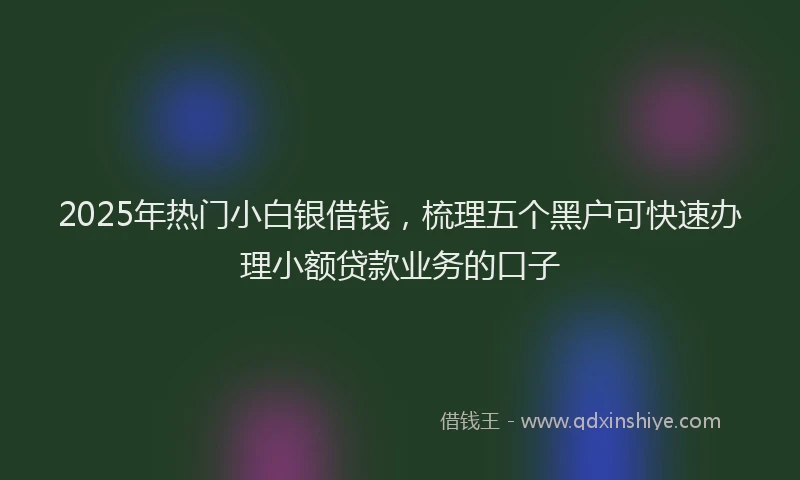 2025年热门小白银借钱，梳理五个黑户可快速办理小额贷款业务的口子