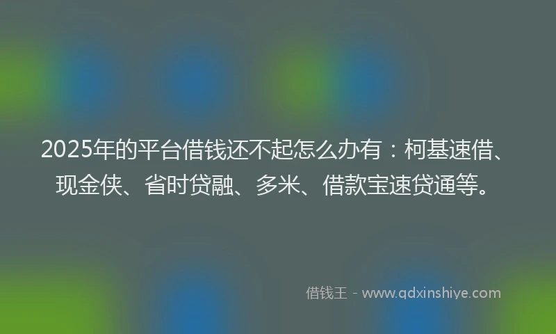 2025年的平台借钱还不起怎么办有：柯基速借、现金侠、省时贷融、多米、借款宝速贷通等。