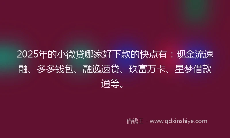 2025年的小微贷哪家好下款的快点有：现金流速融、多多钱包、融逸速贷、玖富万卡、星梦借款通等。