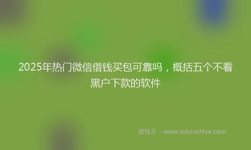 2025年热门微信借钱买包可靠吗，概括五个不看黑户下款的软件