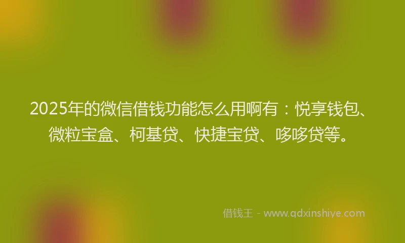 2025年的微信借钱功能怎么用啊有：悦享钱包、微粒宝盒、柯基贷、快捷宝贷、哆哆贷等。