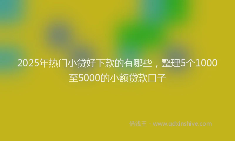 2025年热门小贷好下款的有哪些，整理5个1000至5000的小额贷款口子