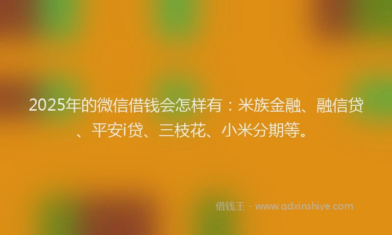 2025年的微信借钱会怎样有：米族金融、融信贷、平安i贷、三枝花、小米分期等。