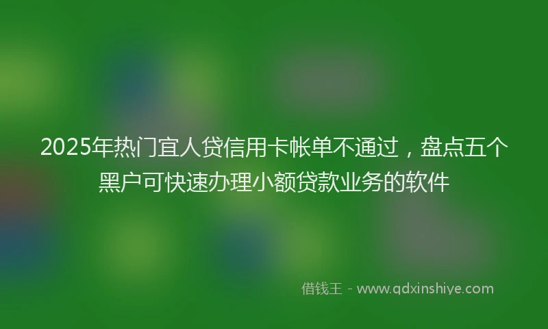 2025年热门宜人贷信用卡帐单不通过，盘点五个黑户可快速办理小额贷款业务的软件