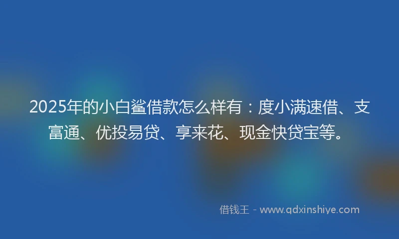 2025年的小白鲨借款怎么样有：度小满速借、支富通、优投易贷、享来花、现金快贷宝等。