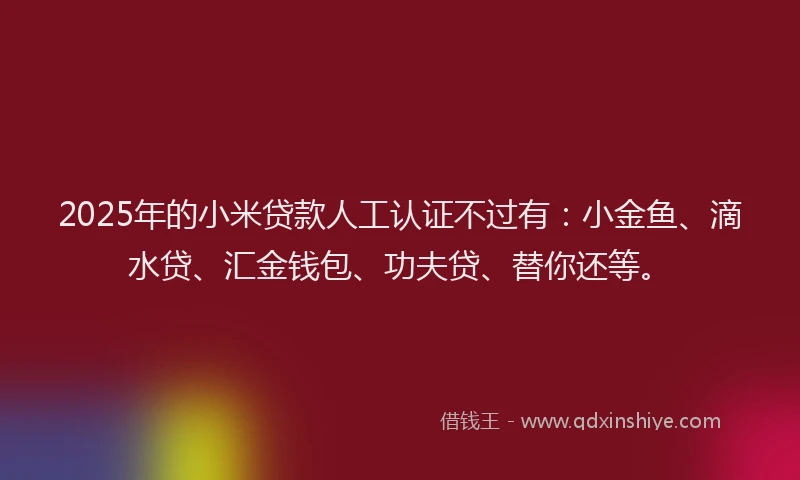 2025年的小米贷款人工认证不过有：小金鱼、滴水贷、汇金钱包、功夫贷、替你还等。