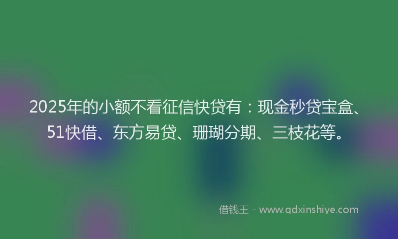 2025年的小额不看征信快贷有：现金秒贷宝盒、51快借、东方易贷、珊瑚分期、三枝花等。