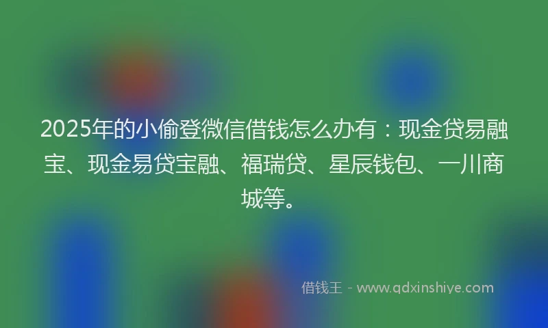 2025年的小偷登微信借钱怎么办有：现金贷易融宝、现金易贷宝融、福瑞贷、星辰钱包、一川商城等。