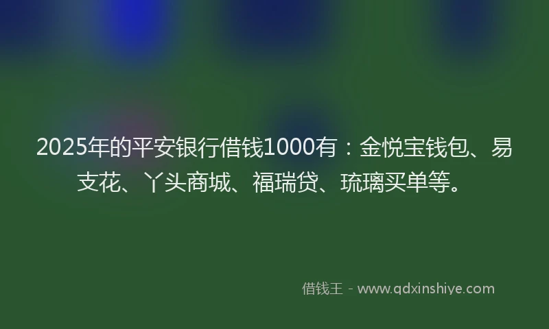 2025年的平安银行借钱1000有：金悦宝钱包、易支花、丫头商城、福瑞贷、琉璃买单等。