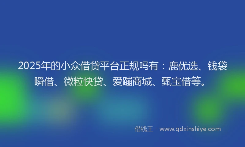 2025年的小众借贷平台正规吗有：鹿优选、钱袋瞬借、微粒快贷、爱蹦商城、甄宝借等。