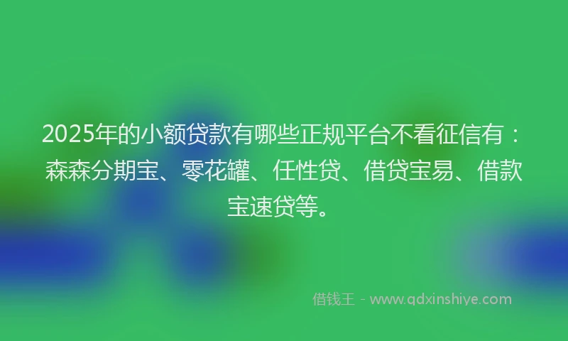 2025年的小额贷款有哪些正规平台不看征信有：森森分期宝、零花罐、任性贷、借贷宝易、借款宝速贷等。