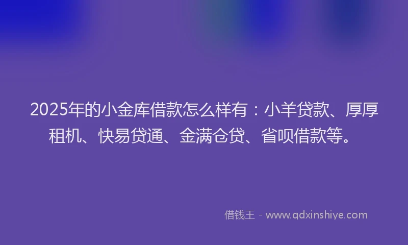 2025年的小金库借款怎么样有：小羊贷款、厚厚租机、快易贷通、金满仓贷、省呗借款等。