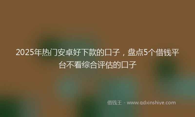2025年热门安卓好下款的口子，盘点5个借钱平台不看综合评估的口子