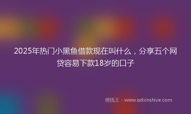 2025年热门小黑鱼借款现在叫什么，分享五个网贷容易下款18岁的口子