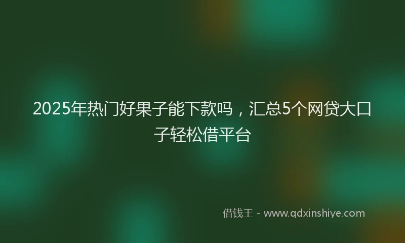2025年热门好果子能下款吗，汇总5个网贷大口子轻松借平台