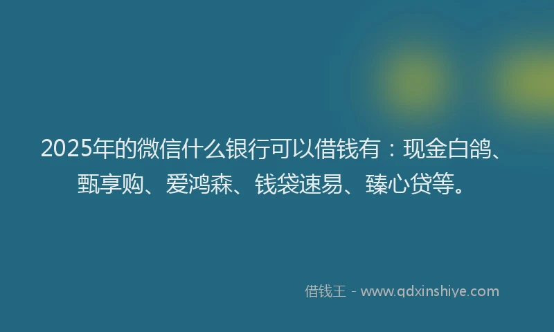 2025年的微信什么银行可以借钱有：现金白鸽、甄享购、爱鸿森、钱袋速易、臻心贷等。